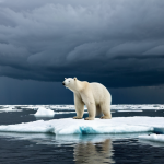 북극곰 멸종 원인 - Stranded on a Melting Ice Floe**

A lone polar bear, fully clothed (though bears don't wear clothes!...